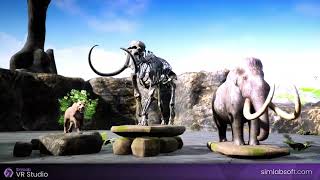 Stone Age Life (VR Education) screenshot 5