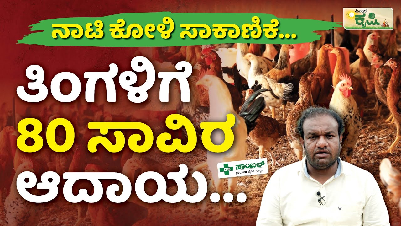 ನಾಟಿ ಕೋಳಿ ಸಾಕಾಣಿಕೆ : ತಿಂಗಳಿಗೆ 80 ಸಾವಿರ ಆದಾಯ..! | Chicken Farming In Kalaburagi | Nati Koli