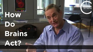 Famous Robert Bilder - How Do Brains Act? Net Worth