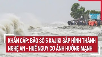 Khẩn cấp: Bão số 5 Kajiki sắp hình thành, Nghệ An - Huế nguy cơ ảnh hưởng mạnh