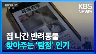 [글로벌K] 중국, 집 나간 반려동물 찾아주는 ‘탐정’ 인기 / KBS  2024.06.06.