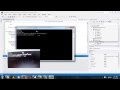 Digilent EPP Tutorial - Basys2 - Hamster