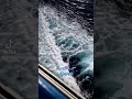 ربكم أعلم بما فى نفوسكم إ ن تكونوا صالحين فإنه كان للأوابين غفورا سورة الإسراء الشيخ فارس عباد