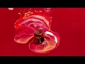 STUNNING!! Chinese Temptation/ Open Cup Pour/Acrylic Pour/ Negative Space/Abstract art