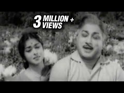 Saroja Devi & Sivaji Ganesan in Yennai Yaar - Palum Pazhamum