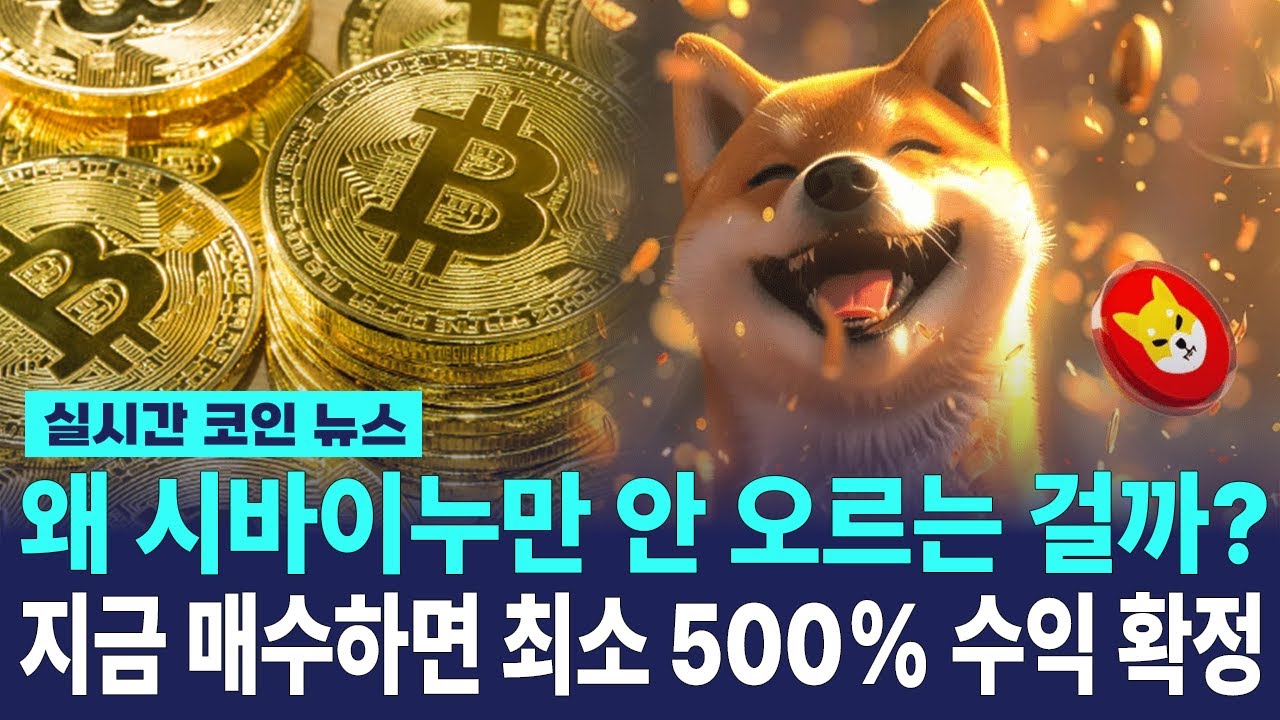 시바이누 코인 대형 호재 발생! 시바이누 지금 매수하면 