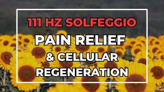 🌻111 Hz Solfeggio Frequency for PAIN RELIEF, CELL REGENERATION & ANXIETY 🌻 The Holy Frequency 🌻