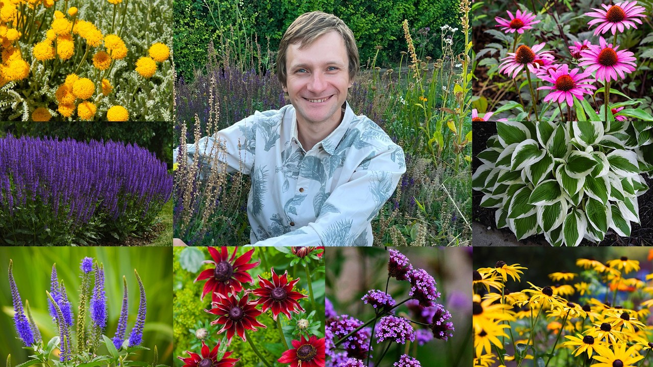 10 Багаторічників що Мають Бути в Кожному Саду! 🏵️🌿💚