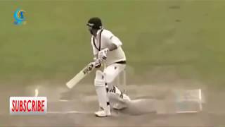 10 Amazing Slip Catches In Cricket History 2017 Best Accidental Catches Ever Cricket Latest