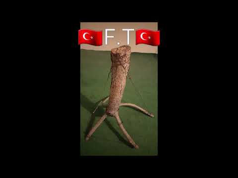 Sabır sınavıdır ömür dediğin