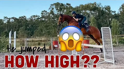 HOW HIGH can my HORSE JUMP? // Thoroughbred High J...