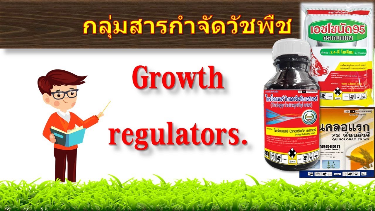 สารกำจัดวัชพืชกลุ่ม.... Growt hormone (กลุ่มที่ 1..)