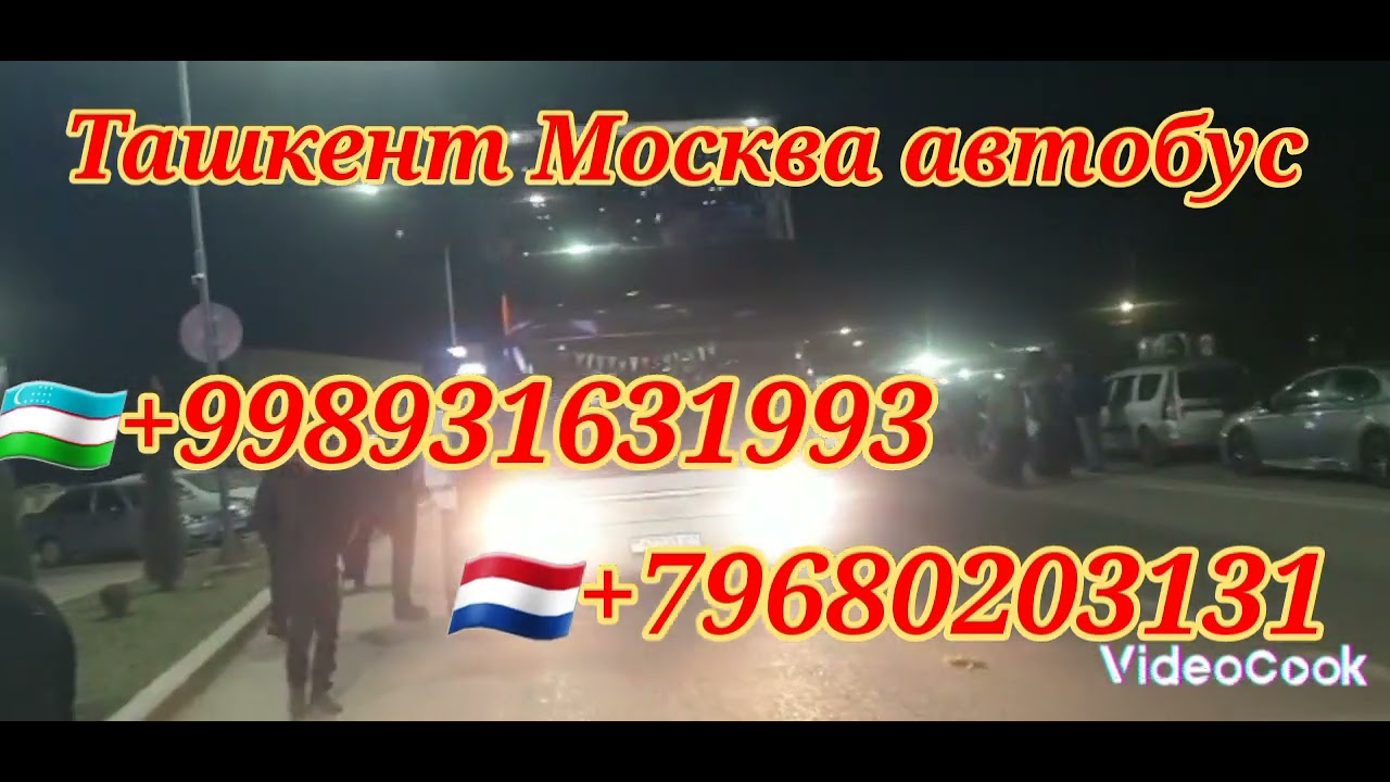 #Ташкент #Москва #Питер #автобус #такси #россия #узбекистан #спринтер ...