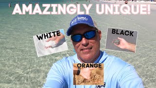 Amazing Florida Beaches | White Sand | Black Sand | Orange Sand