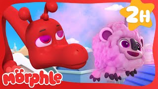 Dino Morphle Sleep Spell  | My Magic Pet Morphle | Morphle Dinosaurs  Cartoons for Kids