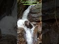 ETHEREAL SINHARAJA RESORT & RAINFOREST #etherealsinharaja #sereneescape #nature #sinharaja #hiking