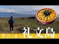【8泊9日北海道旅行】3日目礼文島 ウニを食べに最北の離島へ