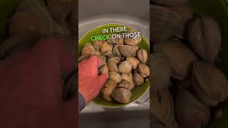 Chesapeake Bay Steamed Clams