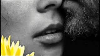 Gönlüm Bir Sevdanın Peşine Düşmüş