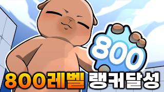 라이벌 한국 1등인데 800레벨도 달성했습니다