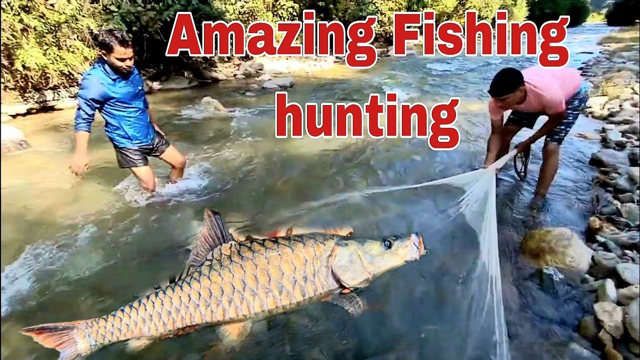 pahadi Machli || पहाड़ी मछली || Pahadi machhali | Amazing Fishing Hunting | Fishing Hunting in River