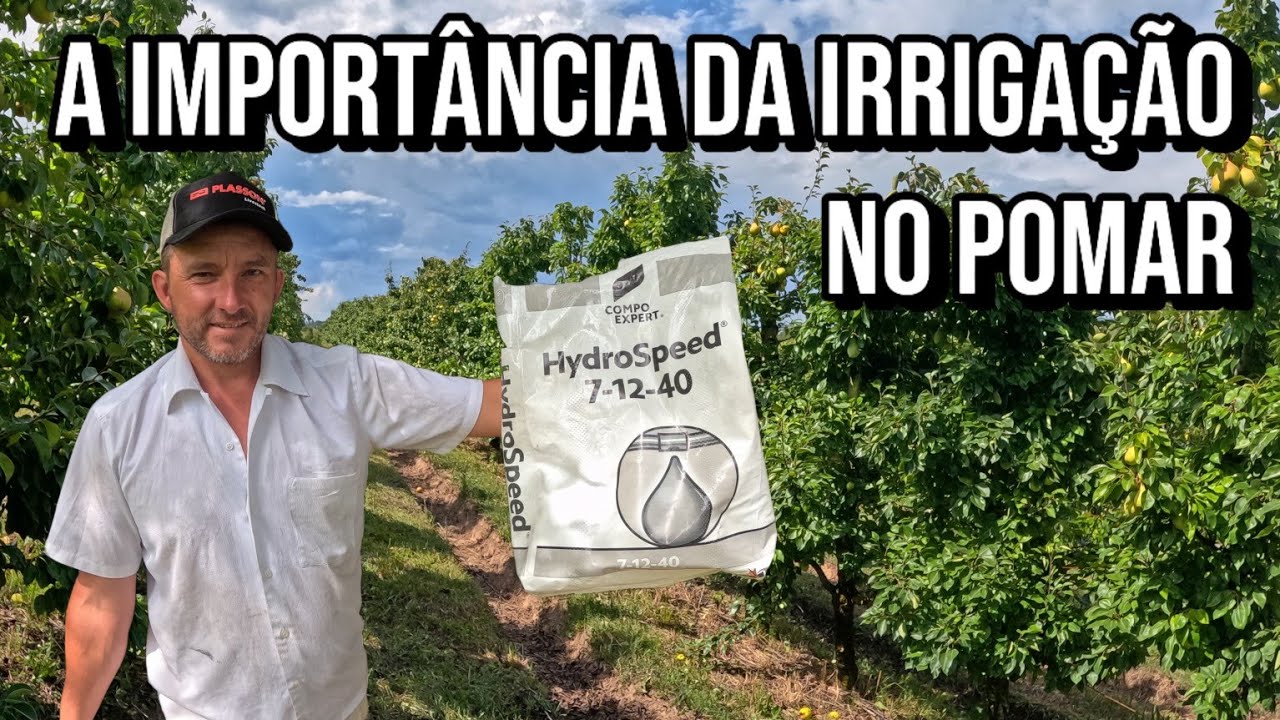 Fertirrigação no Pomar 🌱 O Segredo para Frutas Graúdas e Doces