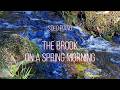 The Brook On A Spring Morning | Relaxing Solo Piano (A Major)