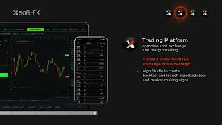 We are Soft-FX — learn how we can boost your crypto or Forex trading business screenshot 2