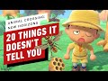 20 Things Animal Crossing: New Horizons Doesn