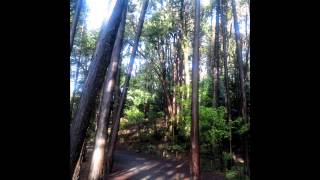パンスタ2013 1117 05