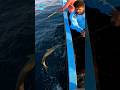 🇧🇭#qatar /fish catching 🐟🐠/#kingfish /#fishing /#trendingshorts