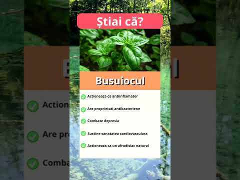 5 Beneficii ale
