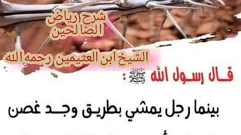 قوله تعالا بينما رجل يمشي بطريق وجد غصن شوك علا الطريق فاخره فشكر الله له فغفرله Mp3