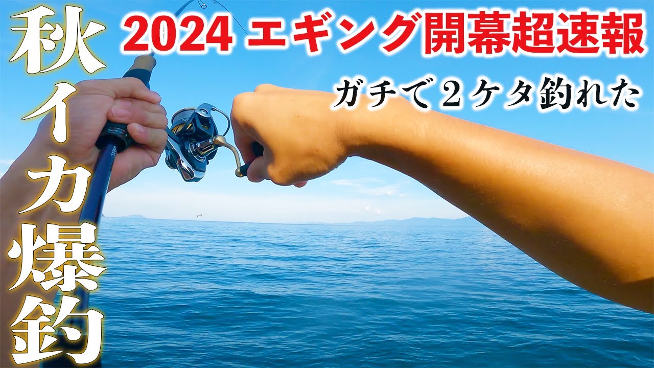 秋イカシーズン到来！エギングフルセットです(*^^*) 2024年エギング爆釣開幕！】いきなりアオリイカが2ケタ釣れた！秋イカ