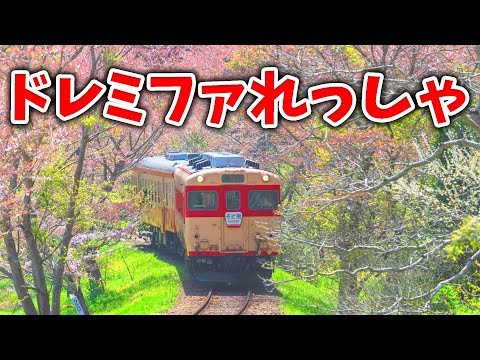 【ほんもの！】ドレミファれっしゃ ソング鉄道 のりものの歌【おかあさんといっしょ】