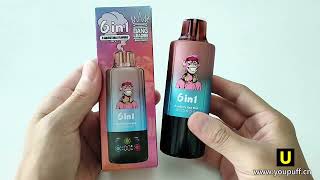 Bang Leader 110K Puffs 6 In 1 Vape 10 Flavors In Stocks