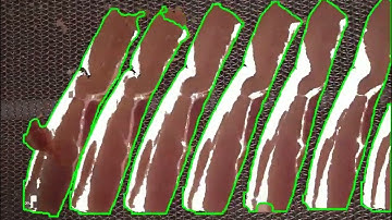 Polygon Annotation for AI-Powered Meat Segmentation | Wisepl | Polygon Annotation