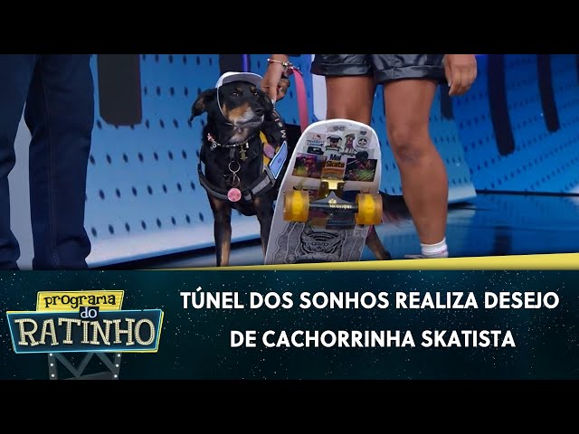 Túnel dos Sonhos realiza desejo de cachorrinha skatista | Programa do Ratinho (24/04/24)