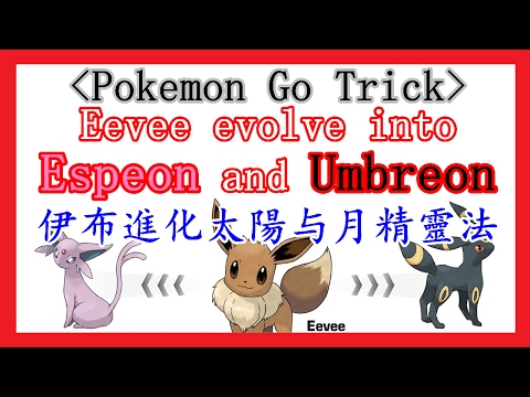 Pokemon Go Trick: Eevee evolves into Espeon and Umbreon | 精靈寶可夢GO戲法: 讓伊布進化成太陽精靈和月精靈