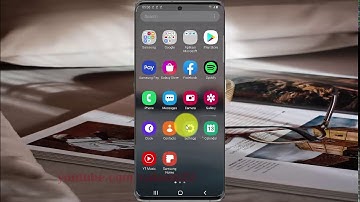 Samsung Galaxy S20 : How to enable flash entire window surfaces when they update (Android 10)