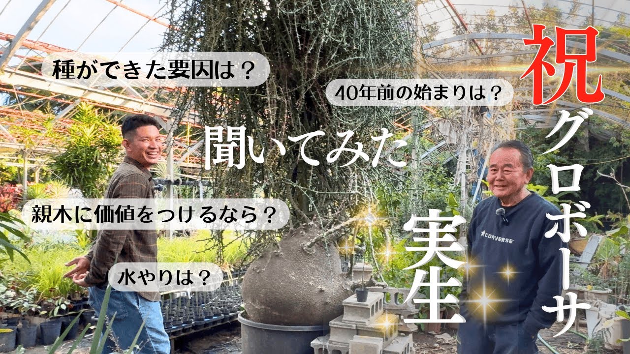 【未公開映像】((祝)) グロボーサ日本産初実生！元祖プラントハンターに聞いてみた。ANDES農園