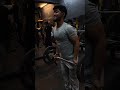 Biceps Exercise Day 8 #workout #gym