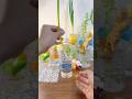 Recycling plastic bottles for home hydroponics