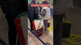 #dubai #атб #travel #agentskiy #airticket #airportvibes