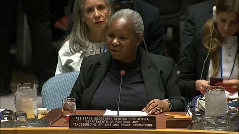 Sahel: Urgent Action is Needed, Terrorist Attacks have Multiplied - Security Council Briefing