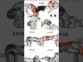 🐉Kegel Workout for Stronger Pelvic Floor! 🔥 #shorts #trending #kegel #workout