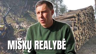 Lietuva iškirsta? Nepagražinta miškų realybė