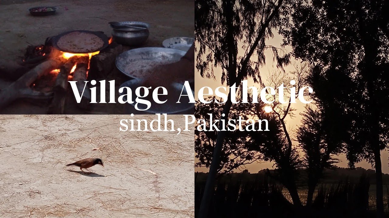 Rural life in Pakistan 2024 | Pakistani village aesthetic Vlog ✨