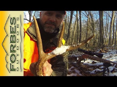 Quick Tip:  Tarsal Glands