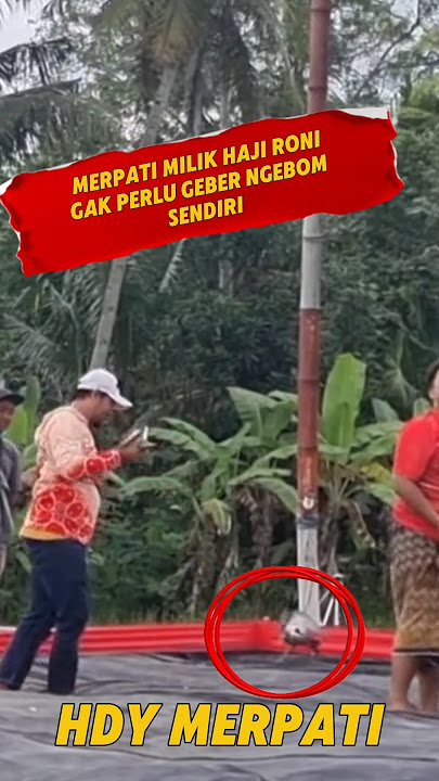 The Losdor pigeon belongs to Haji Roni of the Coklat team. #longpigeon #pigeon